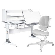 комплект anatomica study-120 lux парта + кресло + надстройка + органайзер + ящик Anatomica Study-120 Lux Set